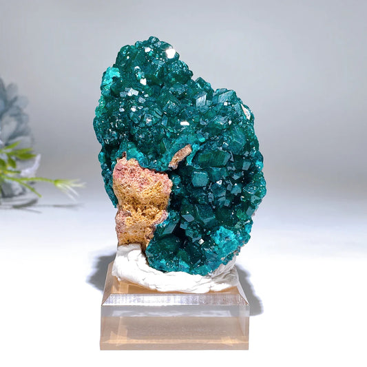 Unique Dipotase from Namibia Specimen Crystal Healing Bulk Wholesale